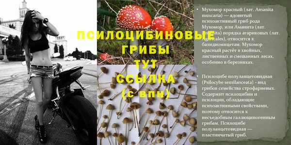 герыч Вязьма