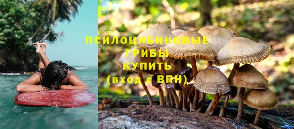 герыч Вязьма