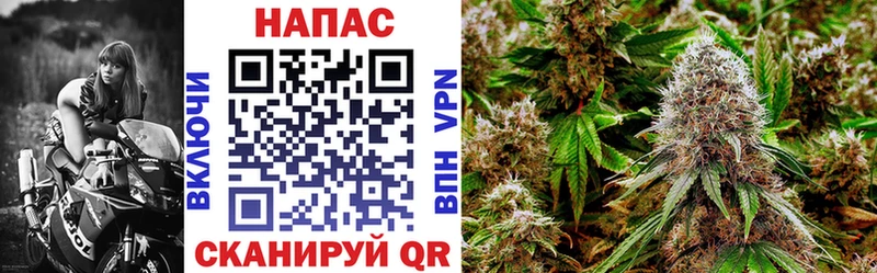 где купить   Инза  Каннабис Bruce Banner 